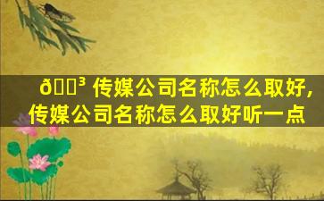 🌳 传媒公司名称怎么取好,传媒公司名称怎么取好听一点